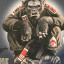 Carlson Gracie Hastings 1066