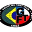 GFTEAM CHILE