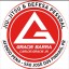 Gracie Barra Afonso Pena