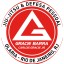 Gracie Barra Olaria