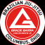 Gracie Barra Columbus Ohio