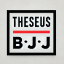 Theseus Brazilian Jiu Jitsu